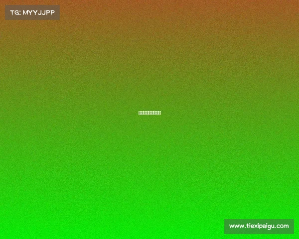 格斗类赛事都有哪些